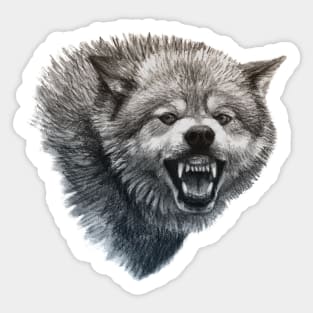 Snarling Wolf Sticker